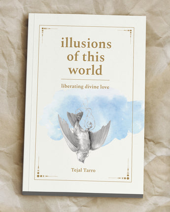 Illusions of this World book on textured paper
