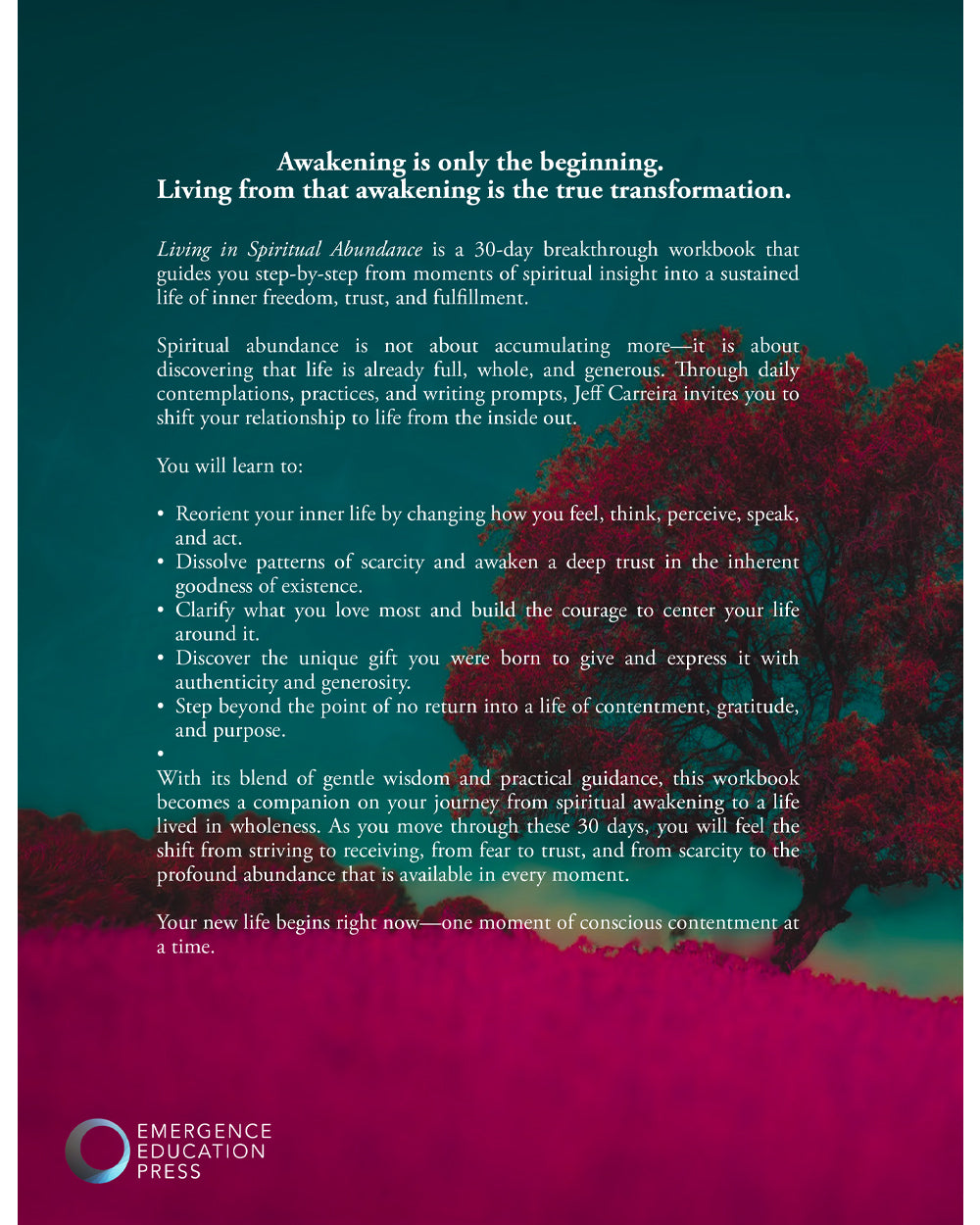 Living in Spiritual Abundance: A Spiritual Breakthrough Workbook