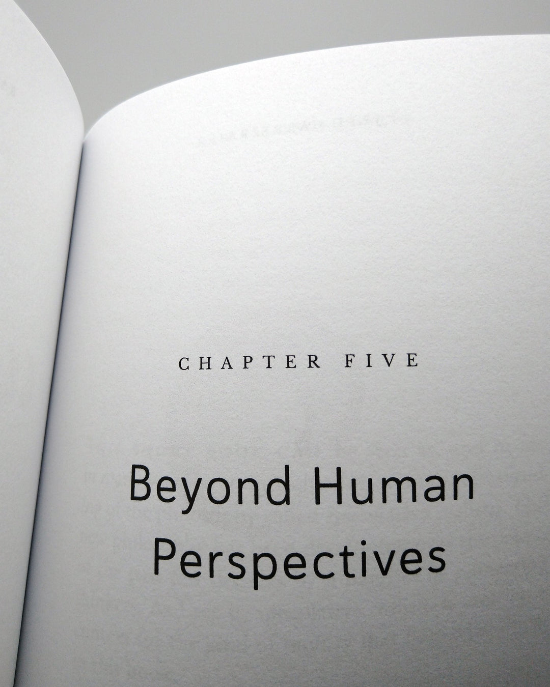 Radical Inclusivity: Expanding Our Minds Beyond Dualistic Thinking