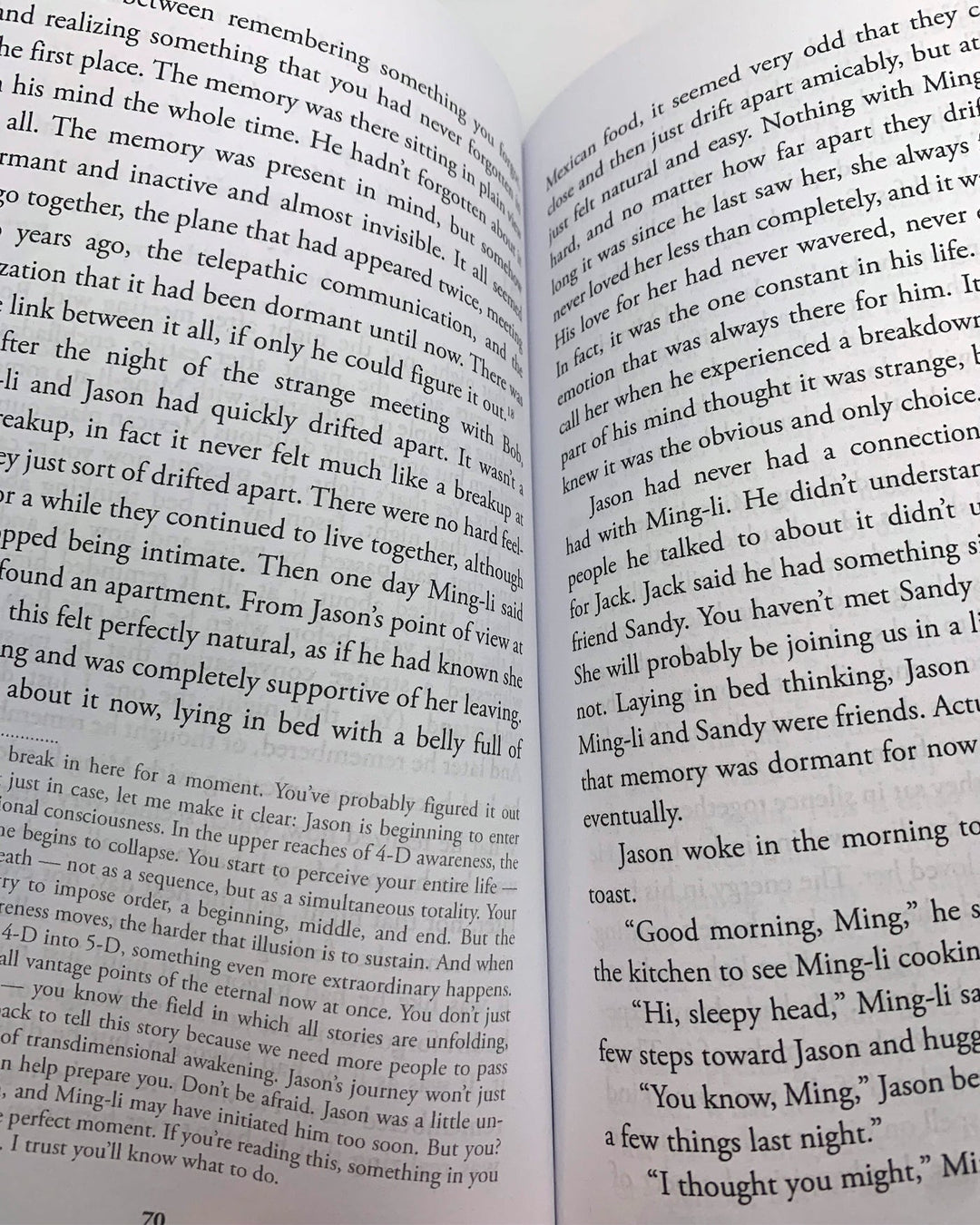 Transdimensional Time Travel: A Novel