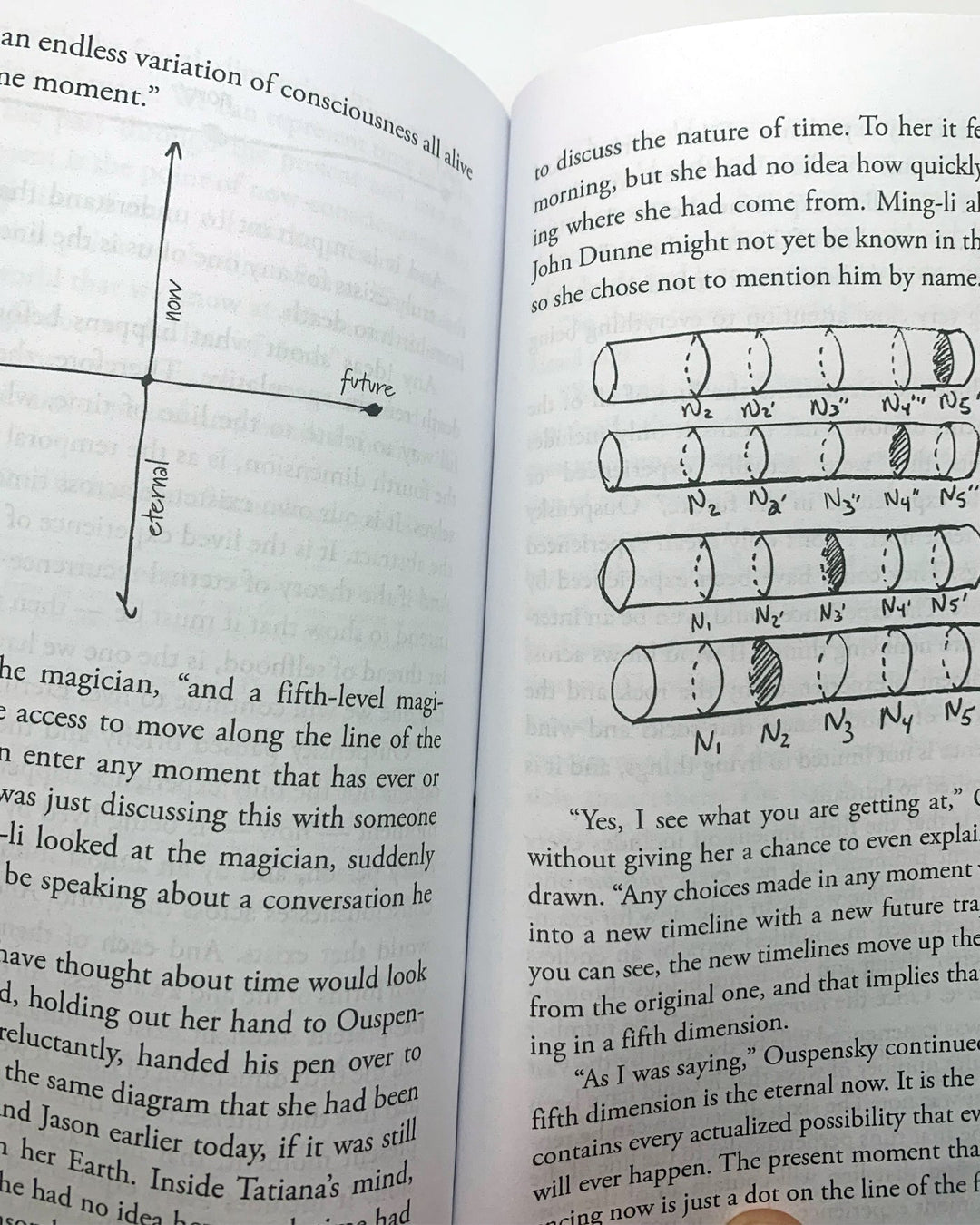 Transdimensional Time Travel: A Novel