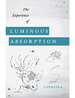 The Experience of Luminous Absorption: The Foundation of Spiritual Life